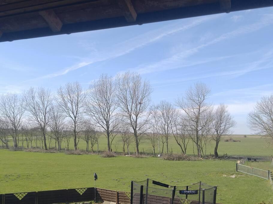 Erholung Auf Der Deichschaeferei Mit Deichblick Schillig Exterior foto